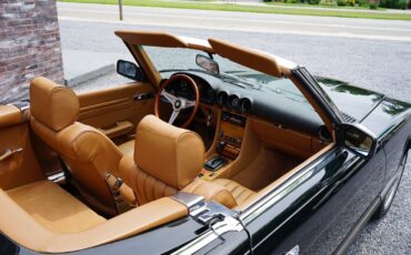 Mercedes-Benz-SL-Class-Cabriolet-1985-Green-Tan-182490-36