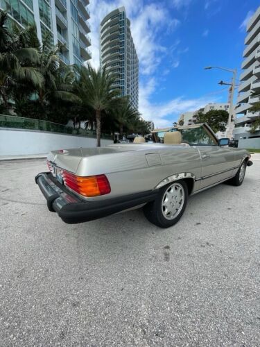 Mercedes-Benz-SL-Class-Cabriolet-1989-Tan-Tan-218871-5