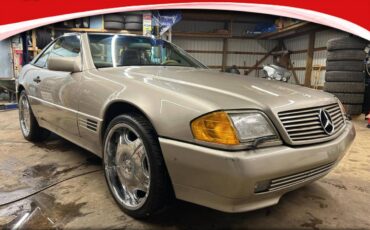 Mercedes-benz-Benz-1992-141622-12