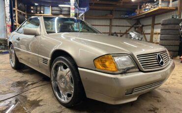 Mercedes-benz-Benz-1992-141622-3