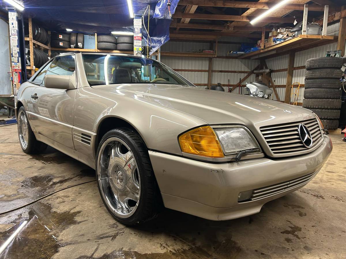 Mercedes-benz-Benz-1992-141622-3