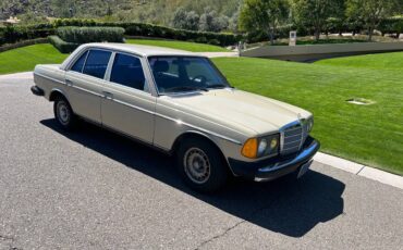 Mercedes-benz-Benz-300-diesel-1982-6