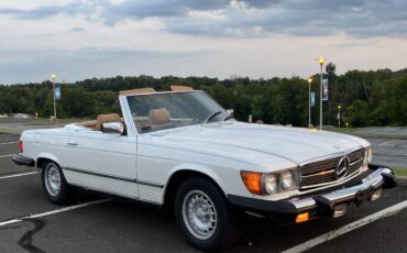 Mercedes-benz-Benz-450-sl-1980-6