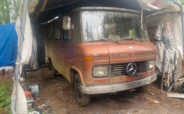 Mercedes-benz-Benz-d-406-diesel-1967-1