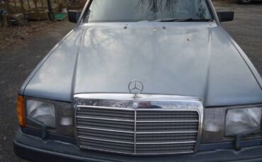 Mercedes-benz-Diesel-1987-blue-241401-3