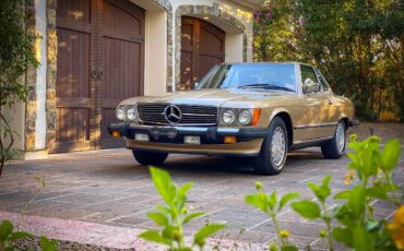 Mercedes-benz-benz-560-560sl-1988-117482-13