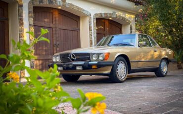 Mercedes-benz-benz-560-560sl-1988-117482-14