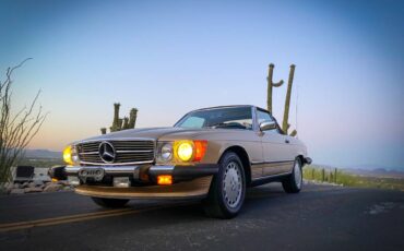 Mercedes-benz-benz-560-560sl-1988-117482-2