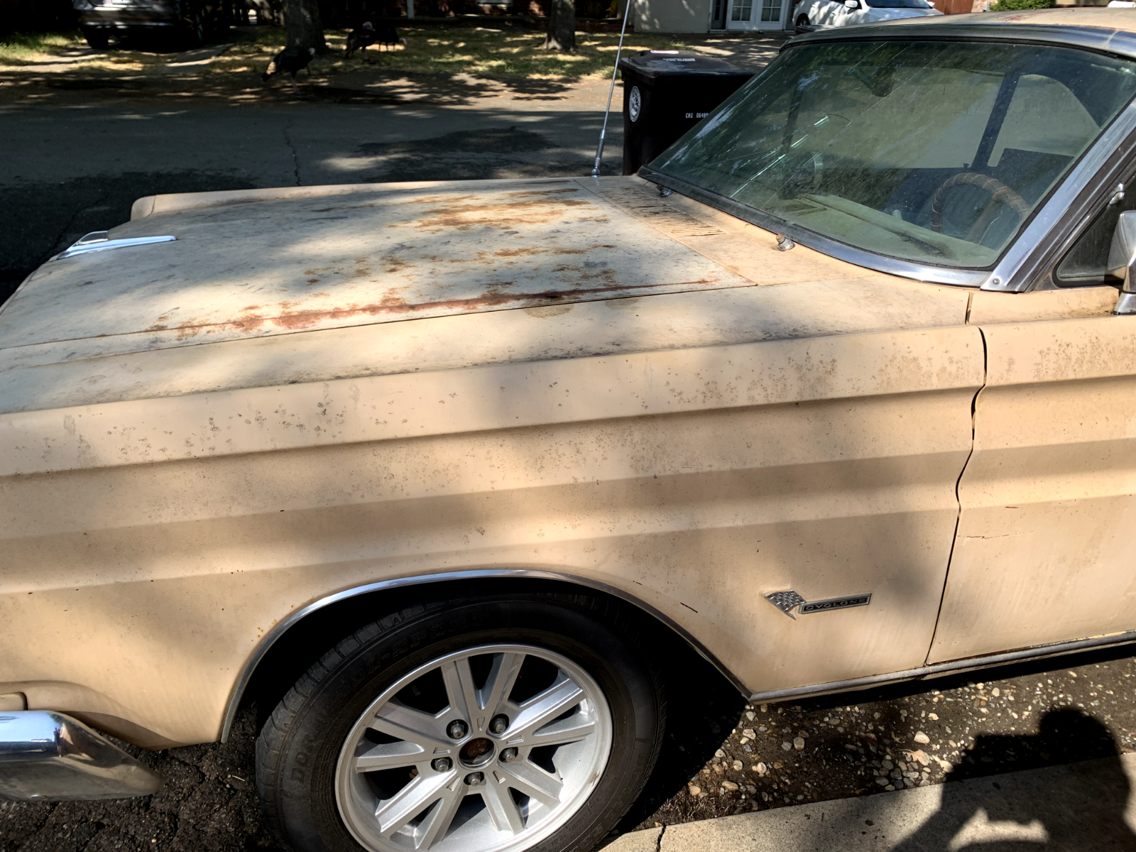 Mercury-Comet-1964-Tan-White-1544970-2