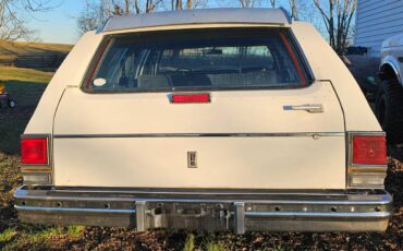 Oldsmobile-Custom-cruiser-wagon-1990-white-4836-4