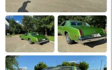 Oldsmobile-Cutlass-1976-green-64374-3