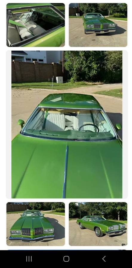 Oldsmobile-Cutlass-1976-green-64374-4