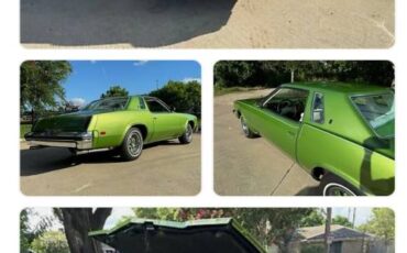 Oldsmobile-Cutlass-1976-green-64374-5