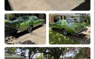 Oldsmobile-Cutlass-1976-green-64374-6