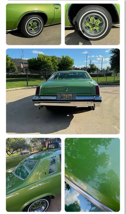 Oldsmobile-Cutlass-1976-green-64374-8