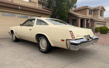 Oldsmobile-Cutlass-s-1976-160932-3