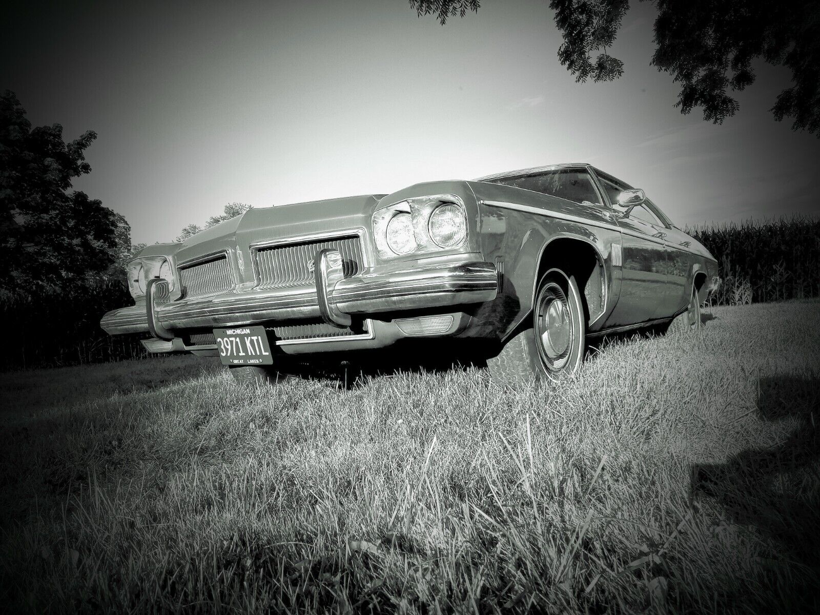 Oldsmobile Other 1973 à vendre