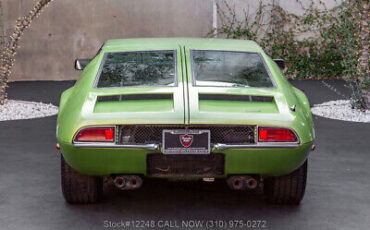 Other-Mangusta-1969-Green-Other-Color-0-7