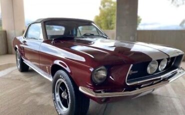 Other-Shelby-GT.500-tribute-1967-Red-157716-6