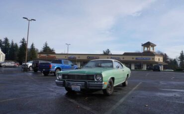 Plymouth-Duster-1974-green-131966-13