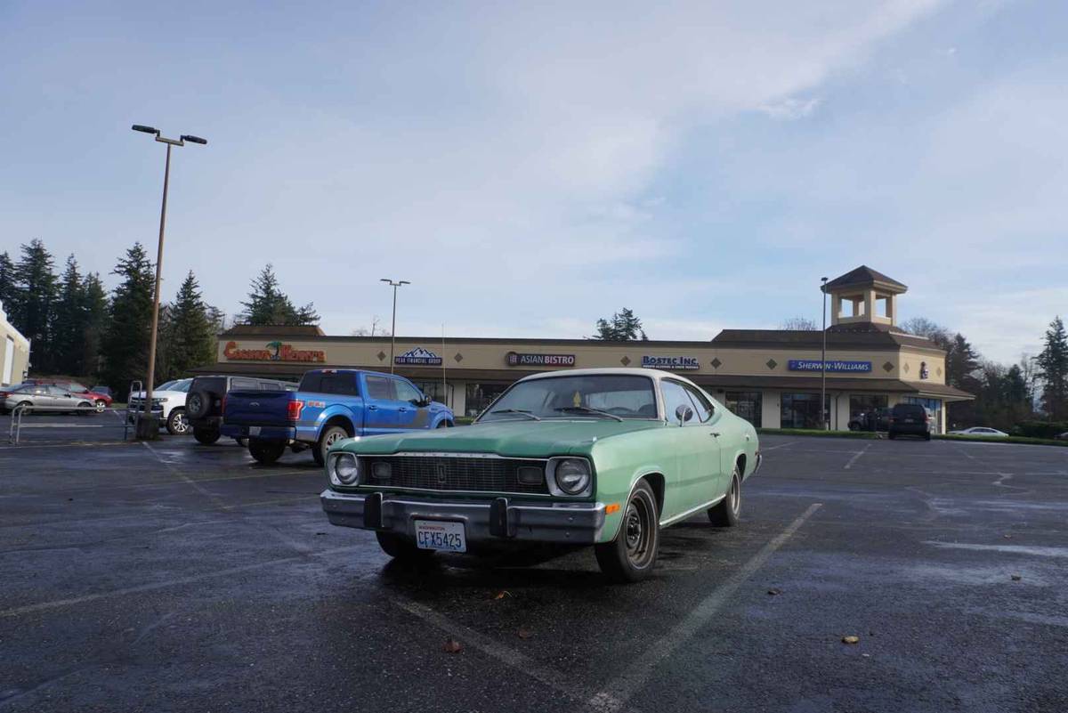 Plymouth-Duster-1974-green-131966-13