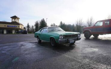 Plymouth-Duster-1974-green-131966-7