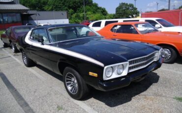 Plymouth-Road-Runner-1974-4