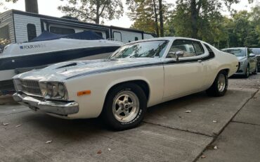 Plymouth-Roadrunner-1974-white-14