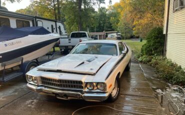 Plymouth-Roadrunner-1974-white-14-9