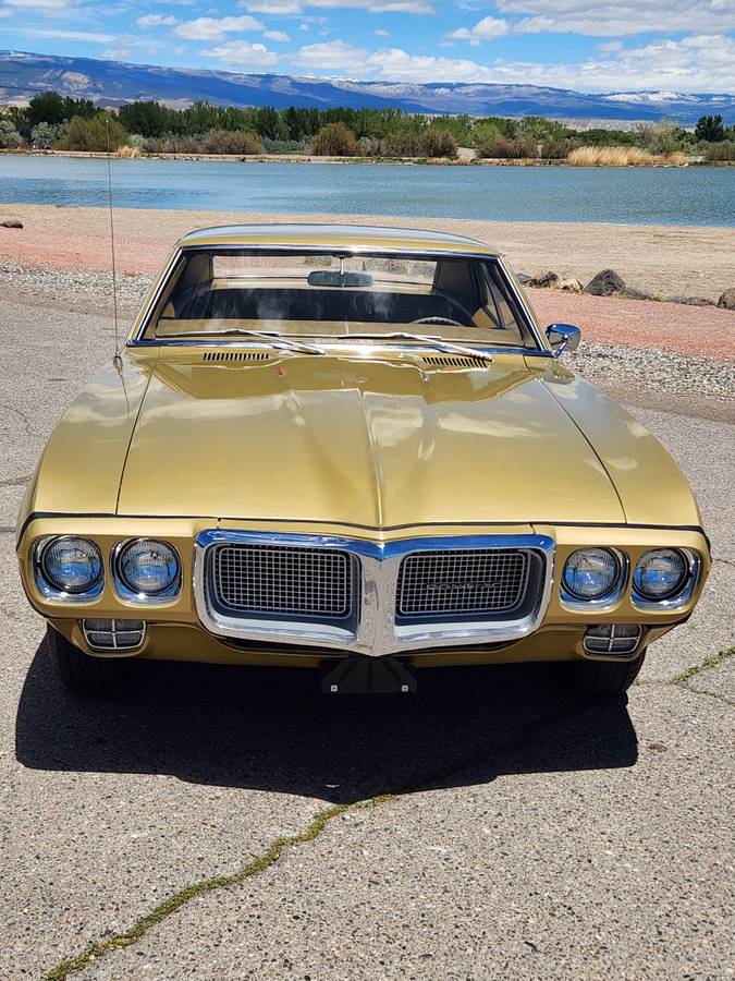 Pontiac-Firebird-1969-199558