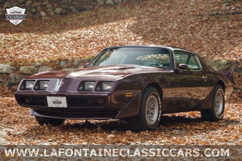 Pontiac-Firebird-1980-11