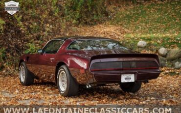 Pontiac-Firebird-1980-12