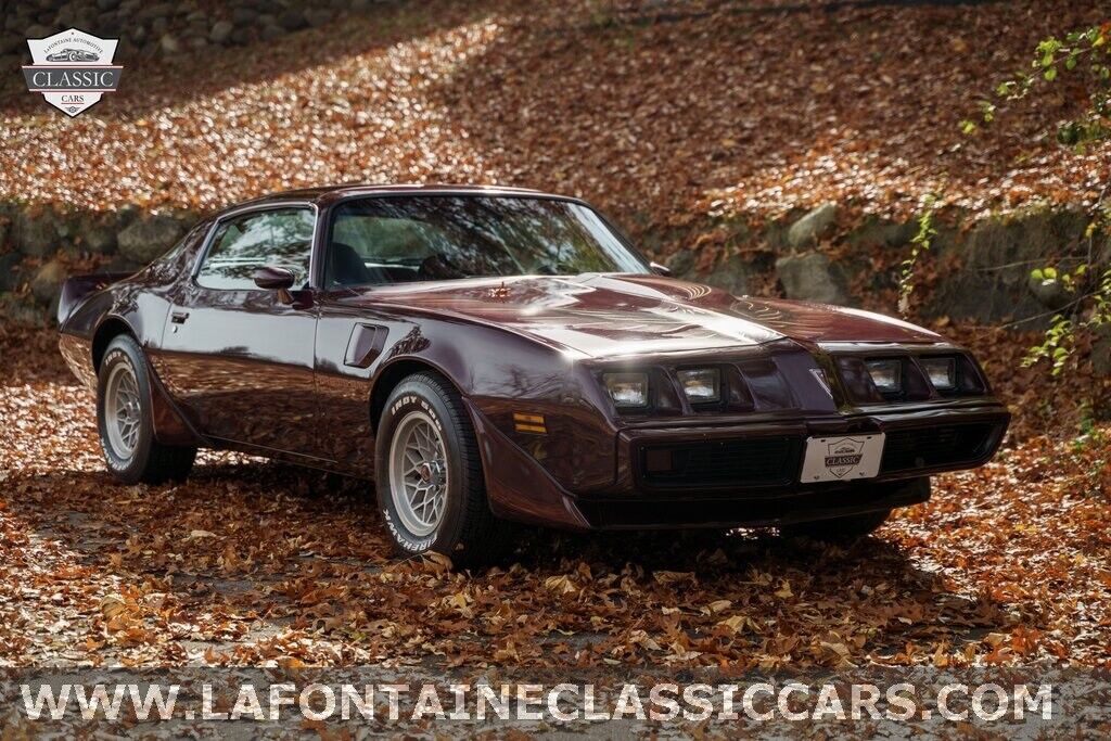 Pontiac-Firebird-1980-17