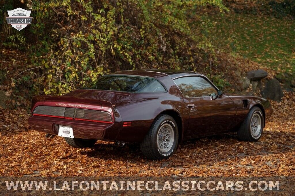 Pontiac-Firebird-1980-18