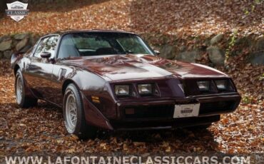 Pontiac-Firebird-1980-33