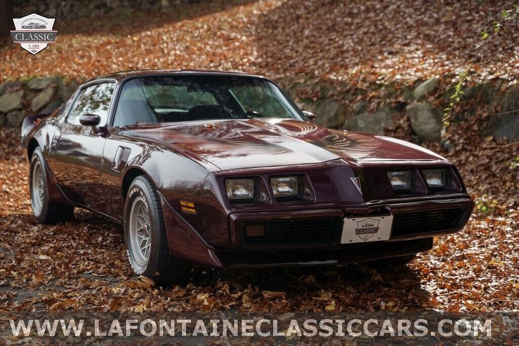 Pontiac-Firebird-1980-33