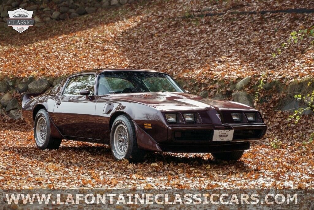 Pontiac-Firebird-1980-39