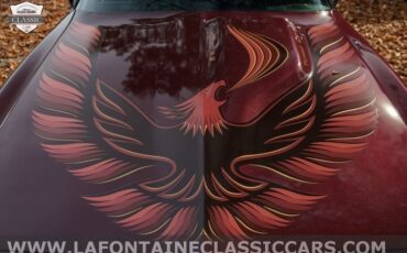 Pontiac-Firebird-1980-5