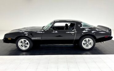 Pontiac-Firebird-1981-Black-Black-28312-1