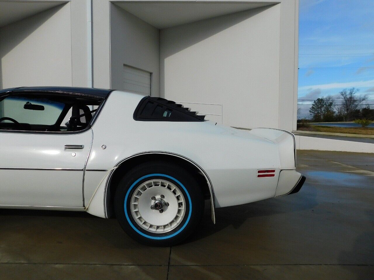 Pontiac-Firebird-1981-White-Red-92413-7