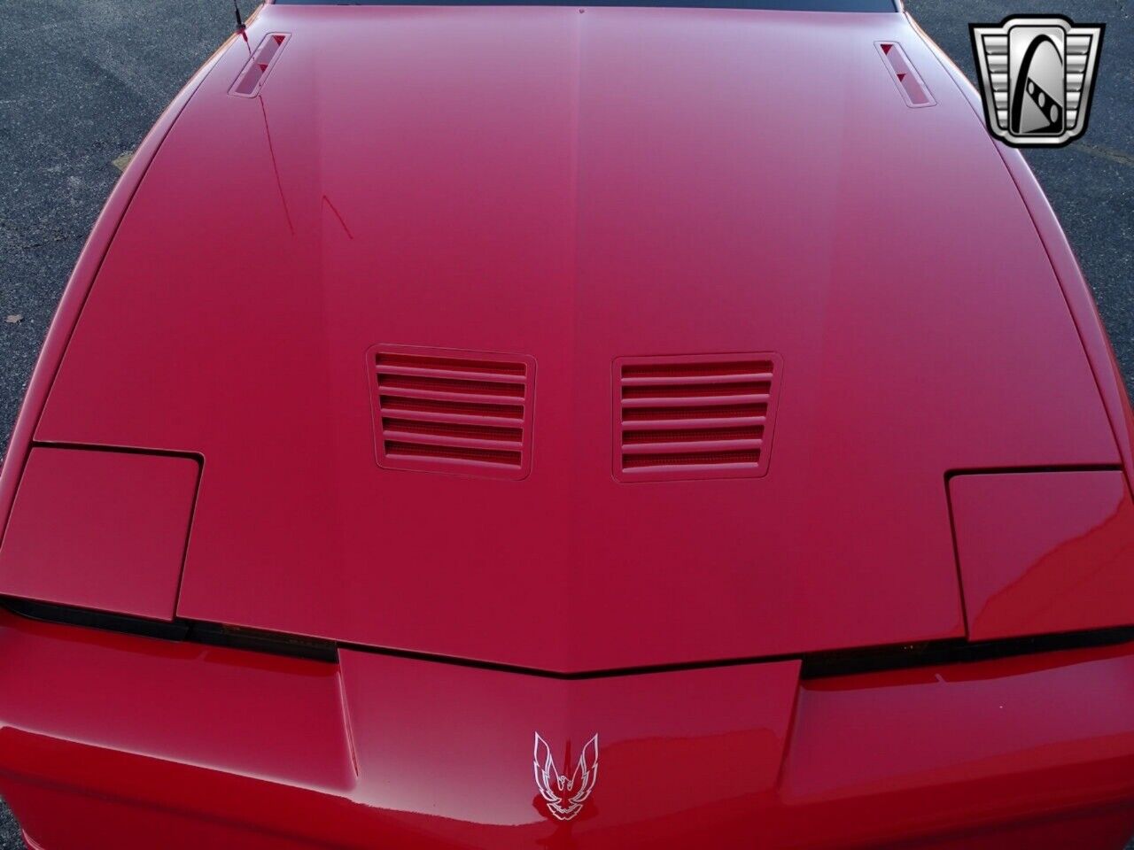 Pontiac-Firebird-Cabriolet-1988-10