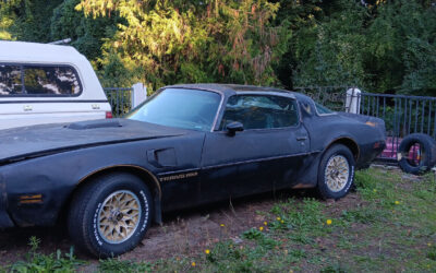 Pontiac Firebird Coupe 1979 à vendre