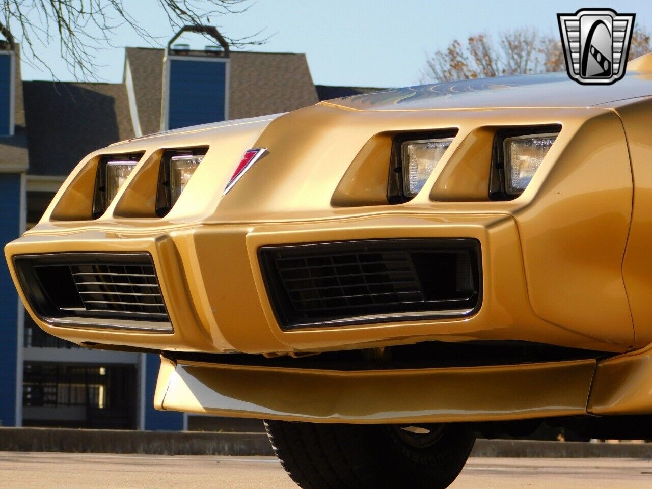 Pontiac-Firebird-Coupe-1979-Brown-Tan-157642-11