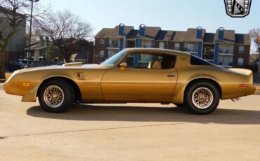 Pontiac-Firebird-Coupe-1979-Brown-Tan-157642-3