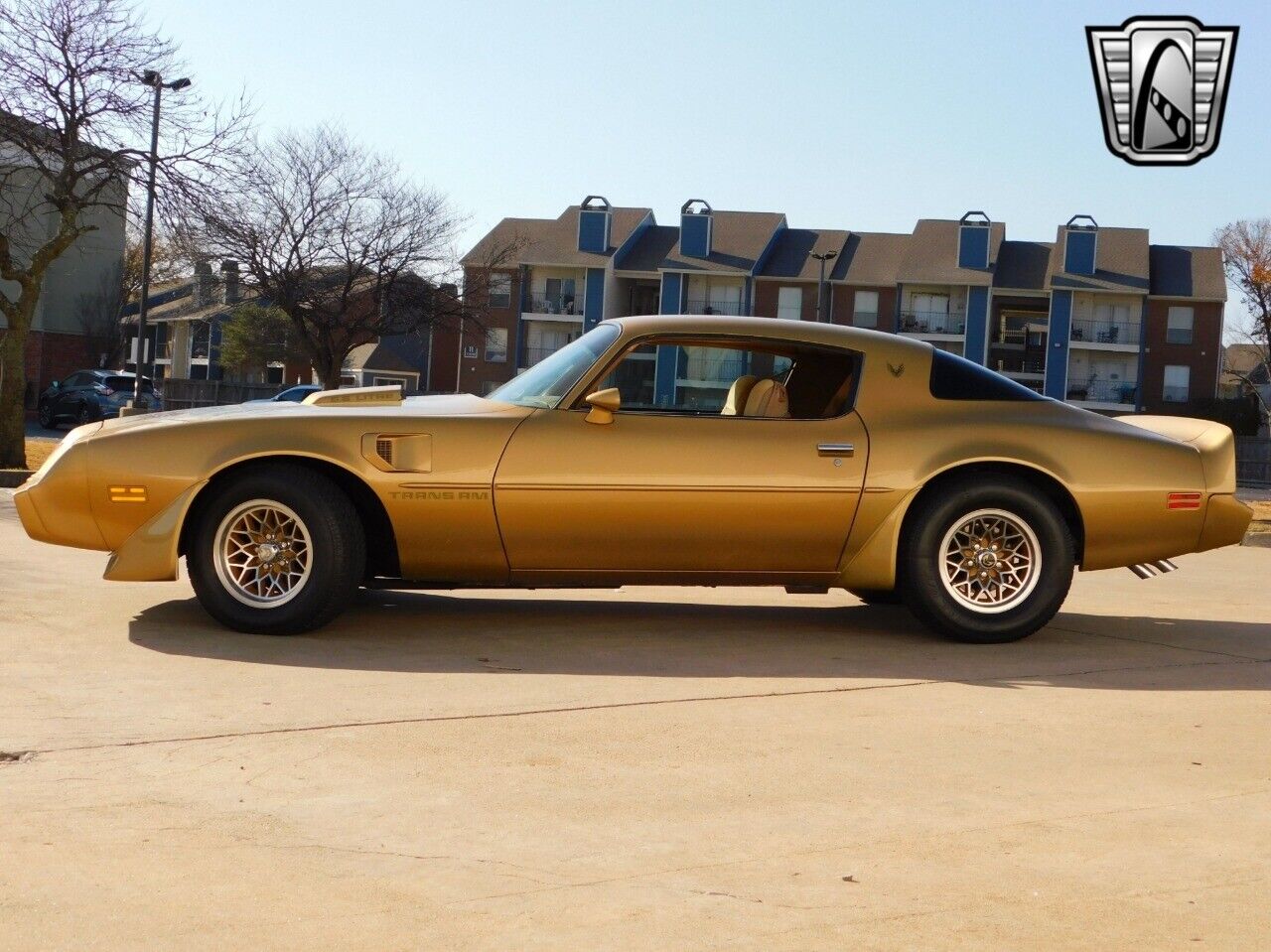 Pontiac-Firebird-Coupe-1979-Brown-Tan-157642-3