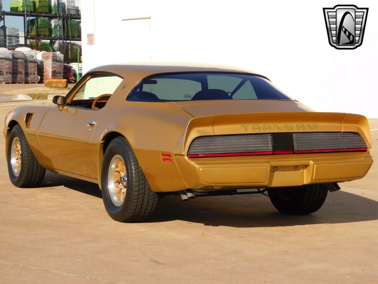 Pontiac-Firebird-Coupe-1979-Brown-Tan-157642-4