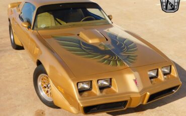 Pontiac-Firebird-Coupe-1979-Brown-Tan-157642-7