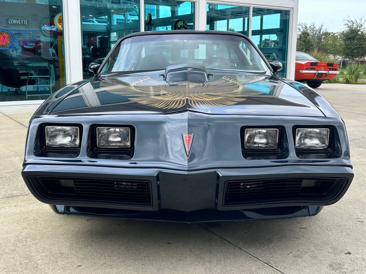 Pontiac-Firebird-Coupe-1981-1