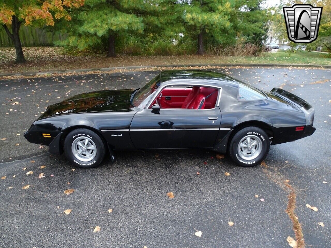 Pontiac-Firebird-Coupe-1981-3