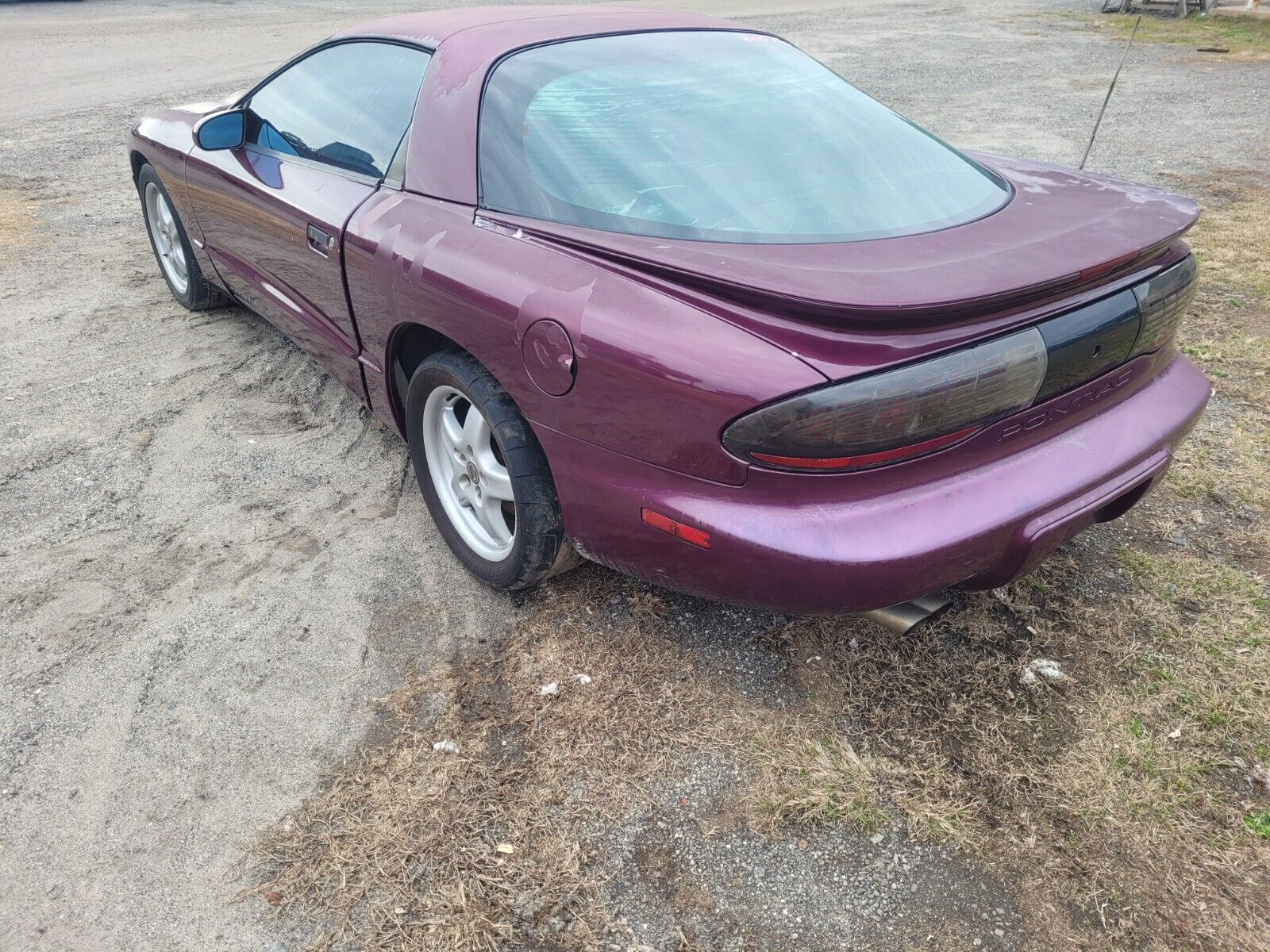 Pontiac-Firebird-Coupe-1995-Medium-Dark-Purple-Metallic-Gray-141914-1